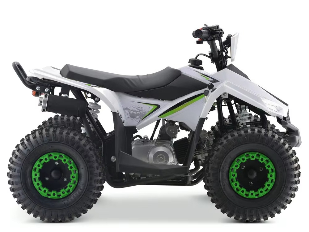 110cc Gas Powered Kids ATV 4 W - Kids Toys Quad ulasan dan harga