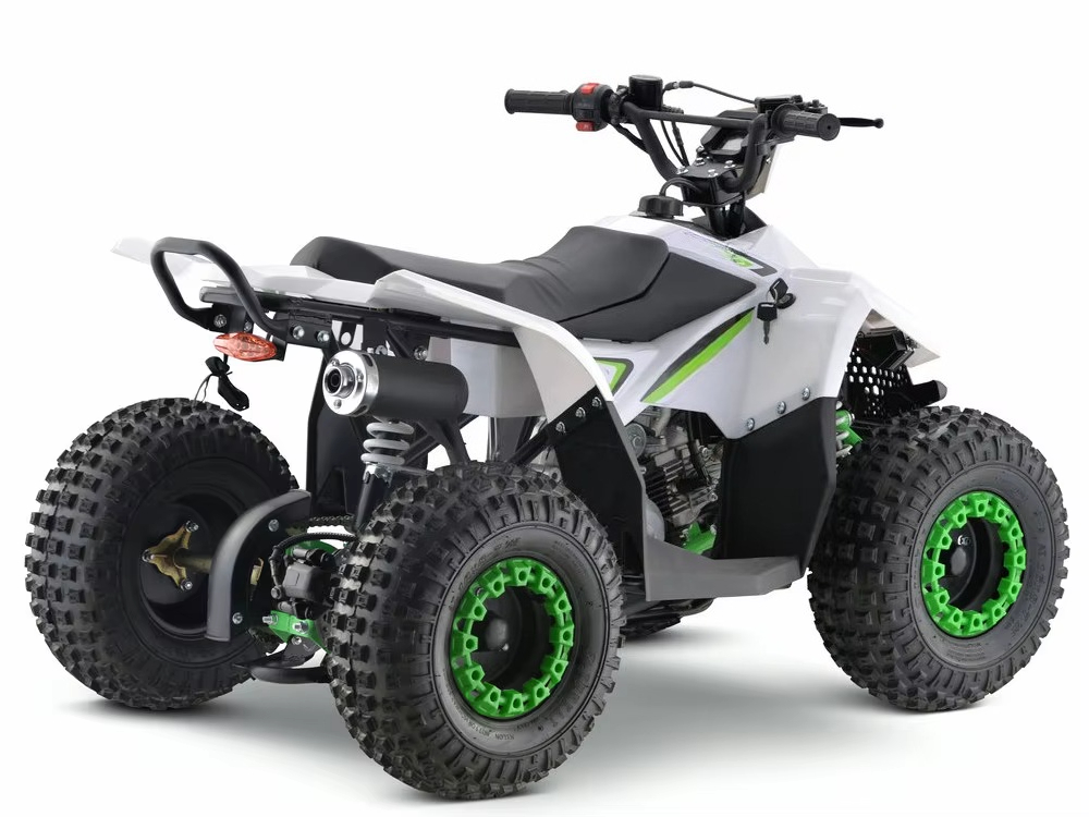 110cc Gas Powered Kids ATV 4 W - Kids Toys Quad ulasan dan harga