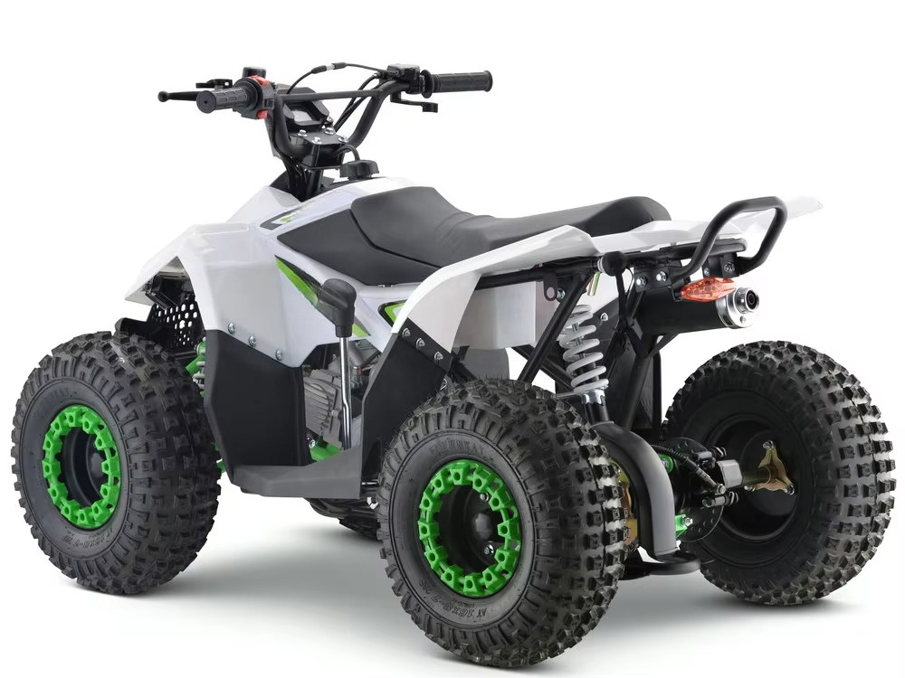 110cc Gas Powered Kids ATV 4 W - Kids Toys Quad ulasan dan harga