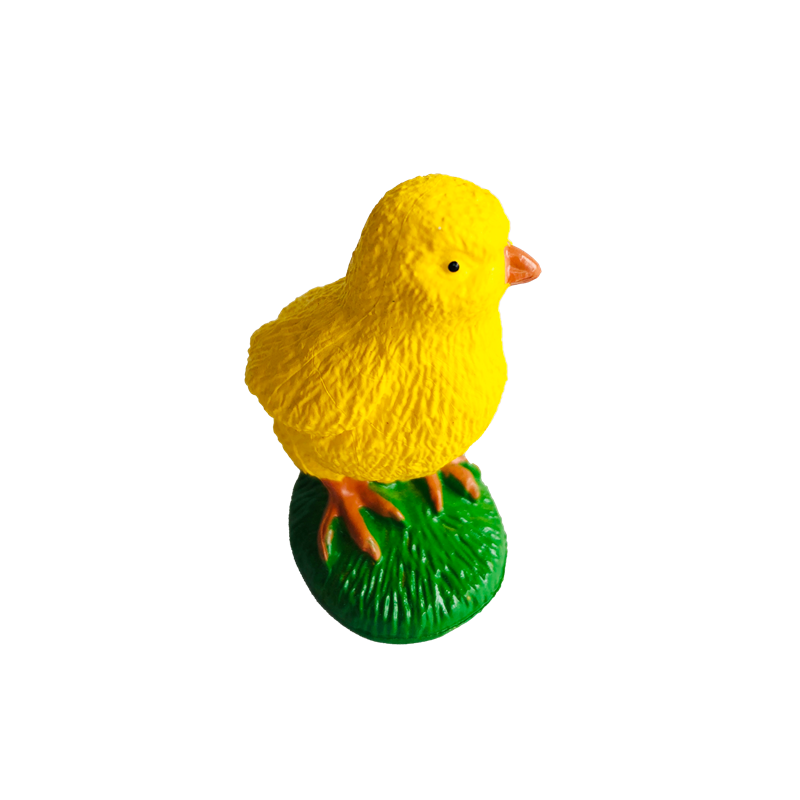 Life Cycle Animals Cards and M - Kids Toys Cycle ulasan dan harga