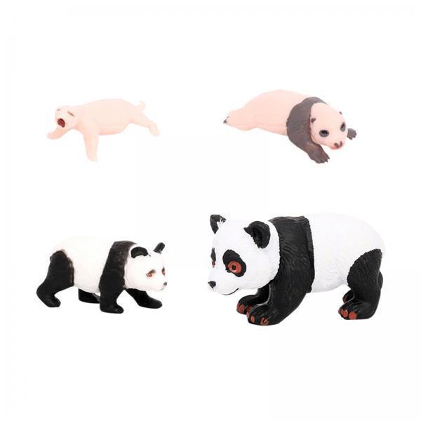 4x 4x Panda Animal Life Cycle  - Kids Toys Cycle ulasan dan harga