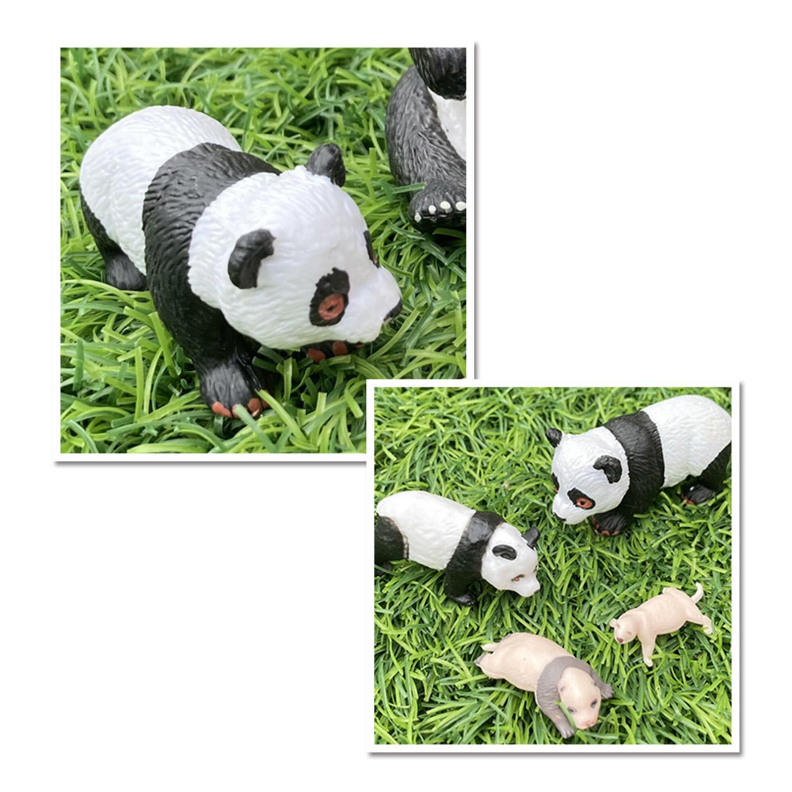 4x 4x Panda Animal Life Cycle  - Kids Toys Cycle ulasan dan harga