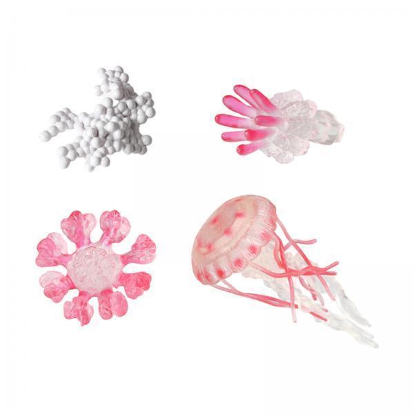 Jellyfish Growth Cycle Model A - Kids Toys Cycle ulasan dan harga