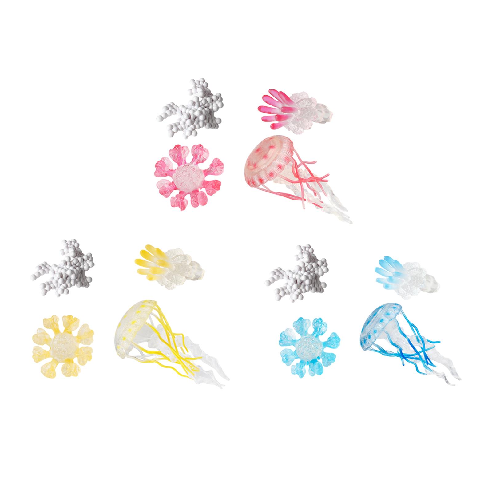 Jellyfish Growth Cycle Model A - Kids Toys Cycle ulasan dan harga