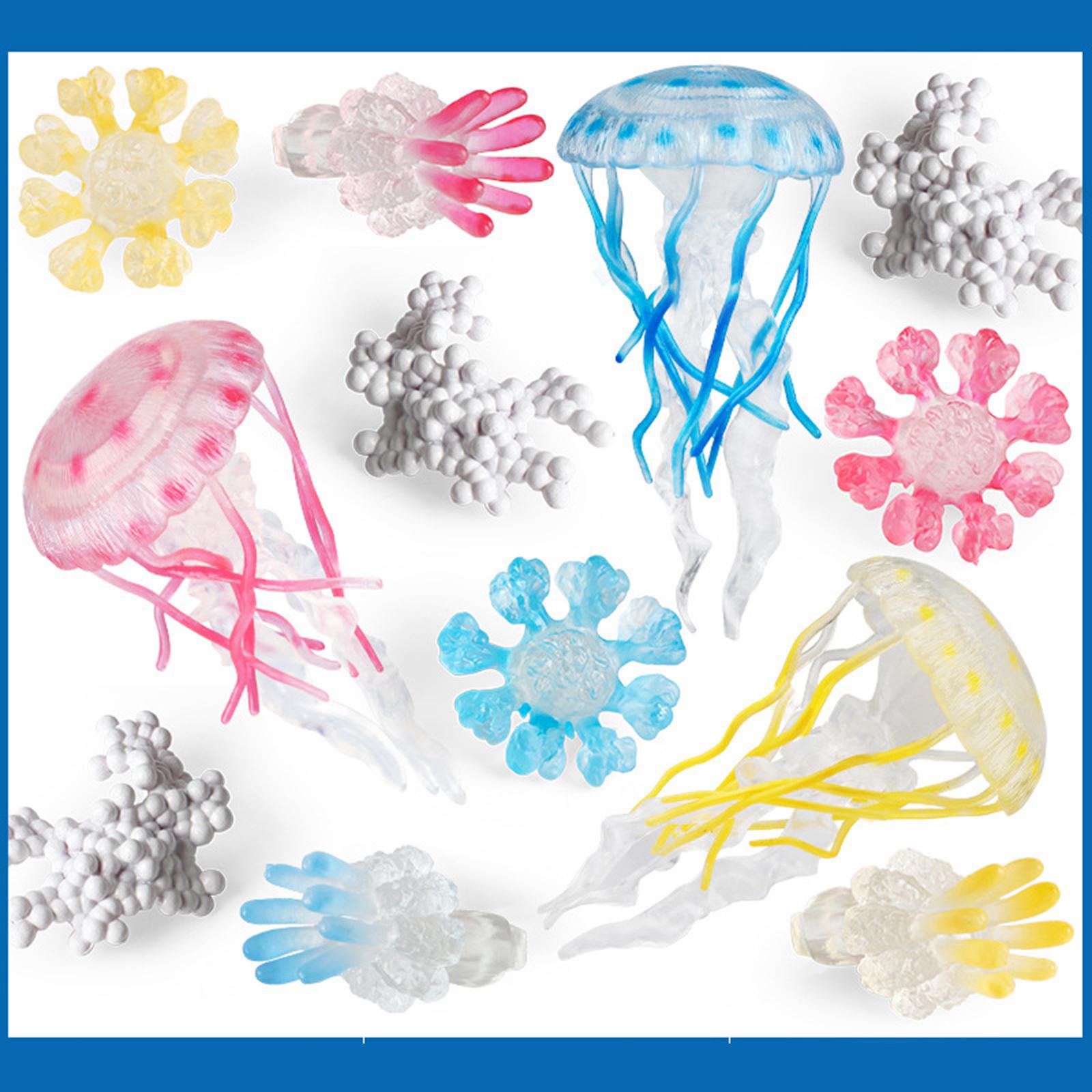 Jellyfish Growth Cycle Model A - Kids Toys Cycle ulasan dan harga