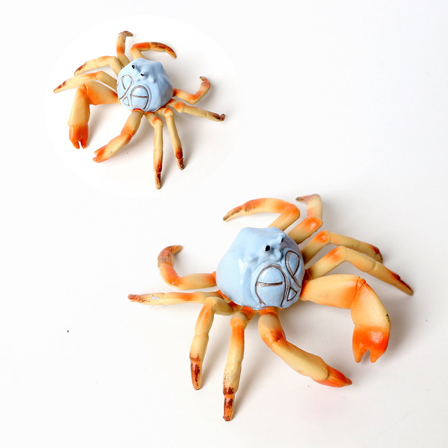 Realistic Ocean Animals Hermit - Kids Toys Home ulasan dan harga