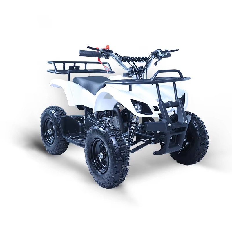 49cc Mini ATV Kids Quad Bike 2 - Kids Toys Quad ulasan dan harga