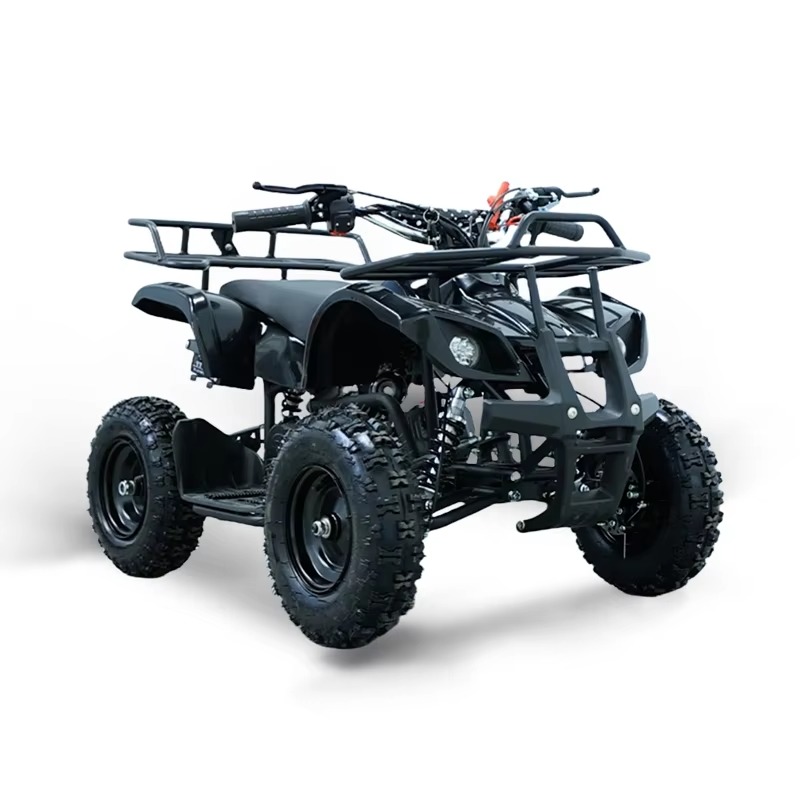 49cc Mini ATV Kids Quad Bike 2 - Kids Toys Quad ulasan dan harga