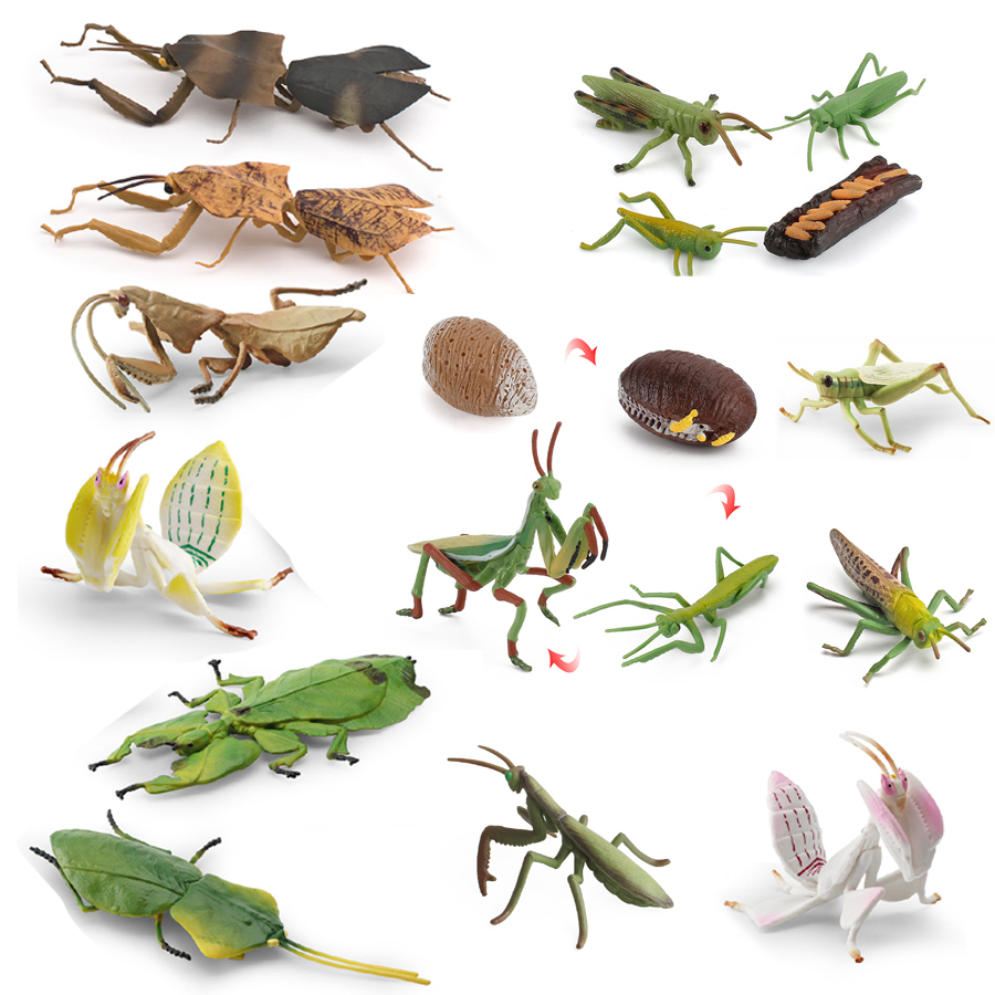 Realistic Orchid Mantis Dead L - Kids Toys Home ulasan dan harga