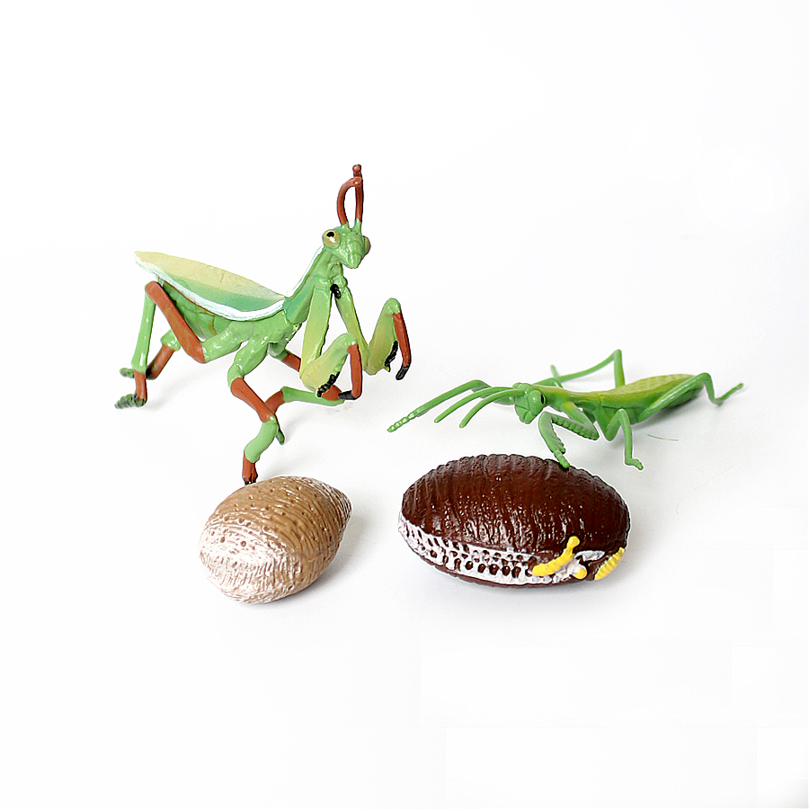 Realistic Orchid Mantis Dead L - Kids Toys Home ulasan dan harga