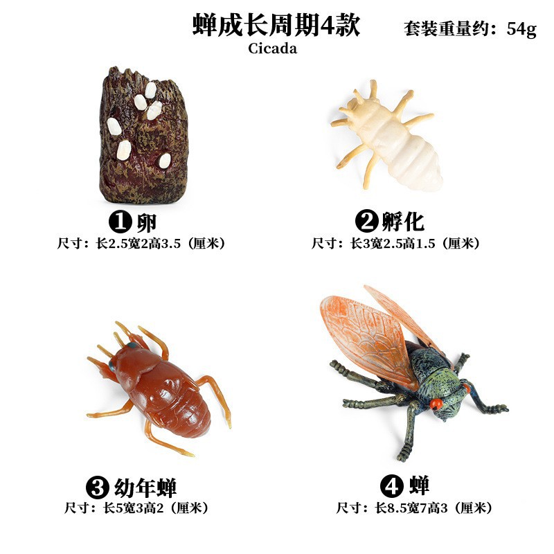 Life Growth Cycle Simulation I - Kids Toys Cycle ulasan dan harga